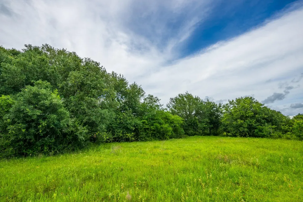 208 Cr 208 Danbury, TX 77534