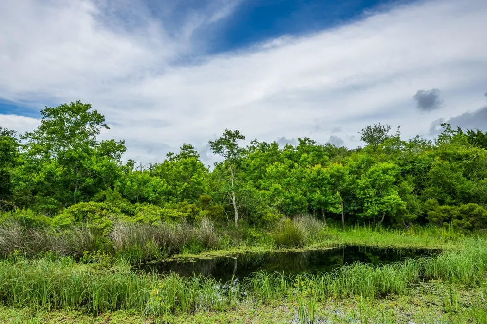 208 Cr 208 Danbury, TX 77534