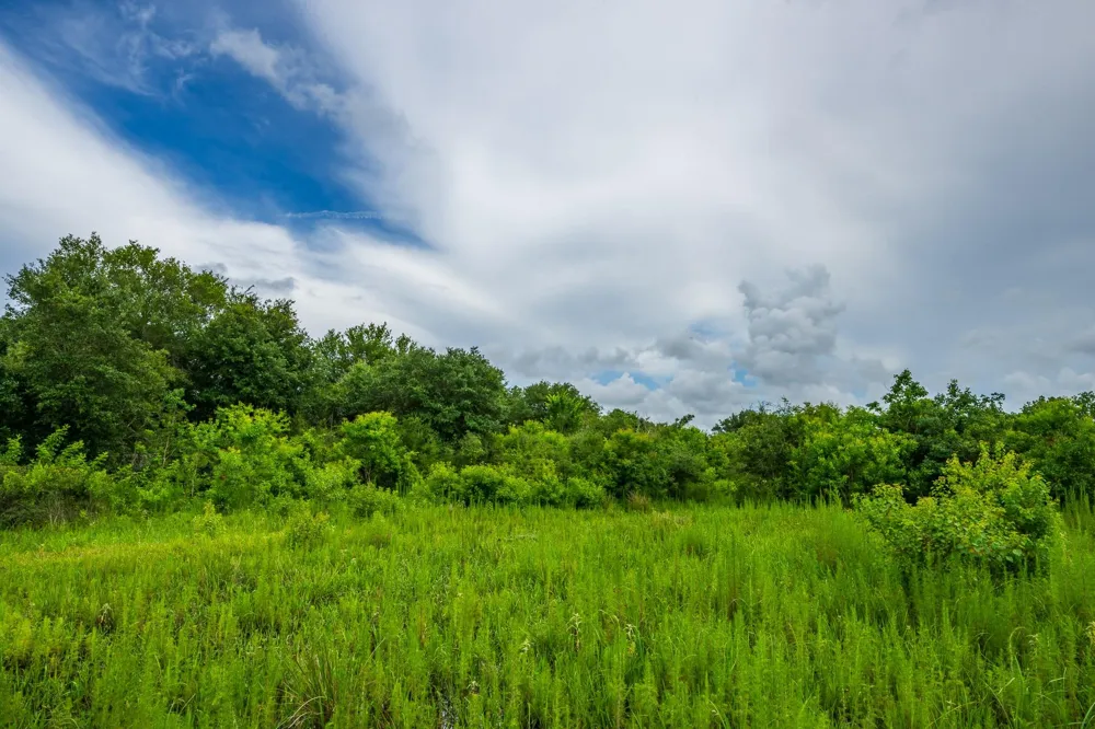 208 Cr 208 Danbury, TX 77534