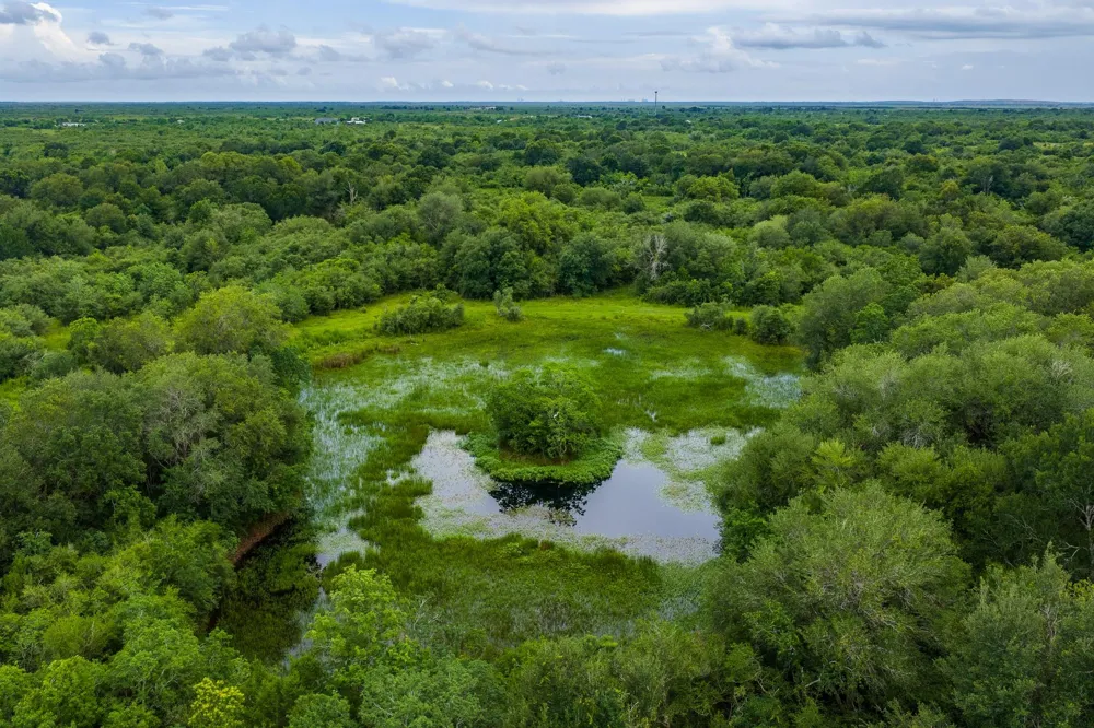 208 Cr 208 Danbury, TX 77534