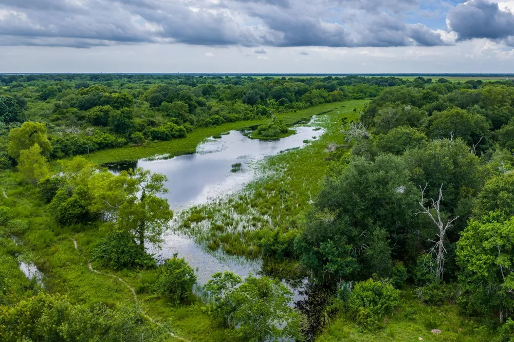 208 Cr 208 Danbury, TX 77534