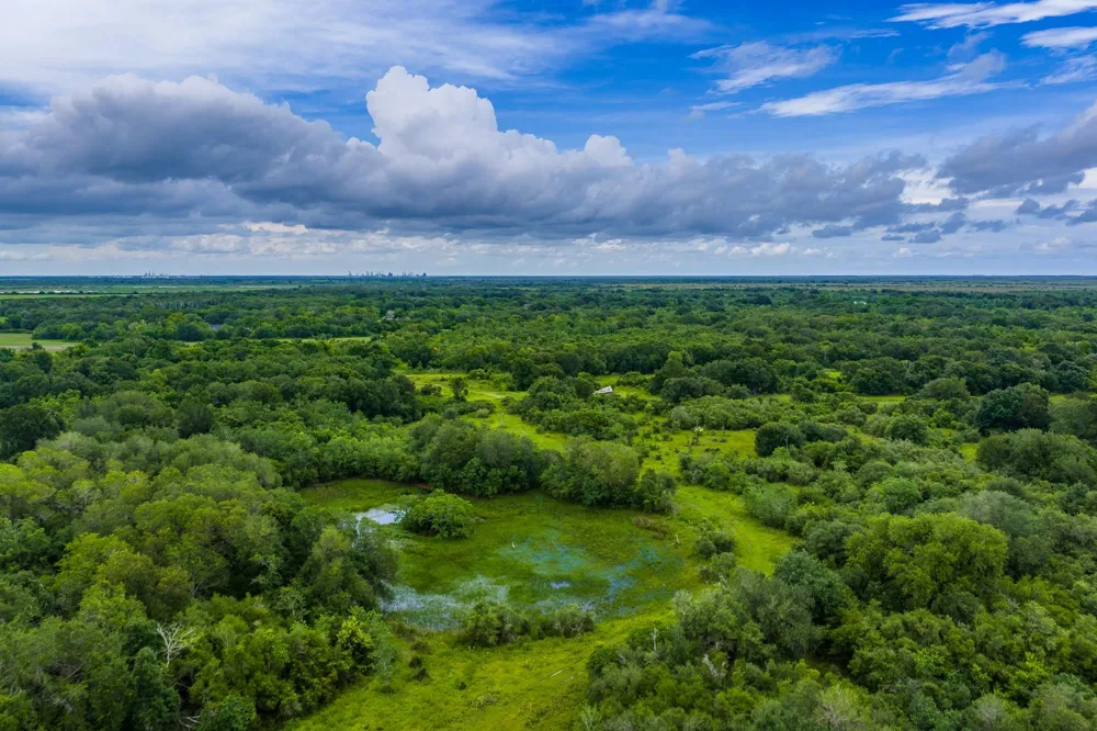 208 Cr 208 Danbury, TX 77534