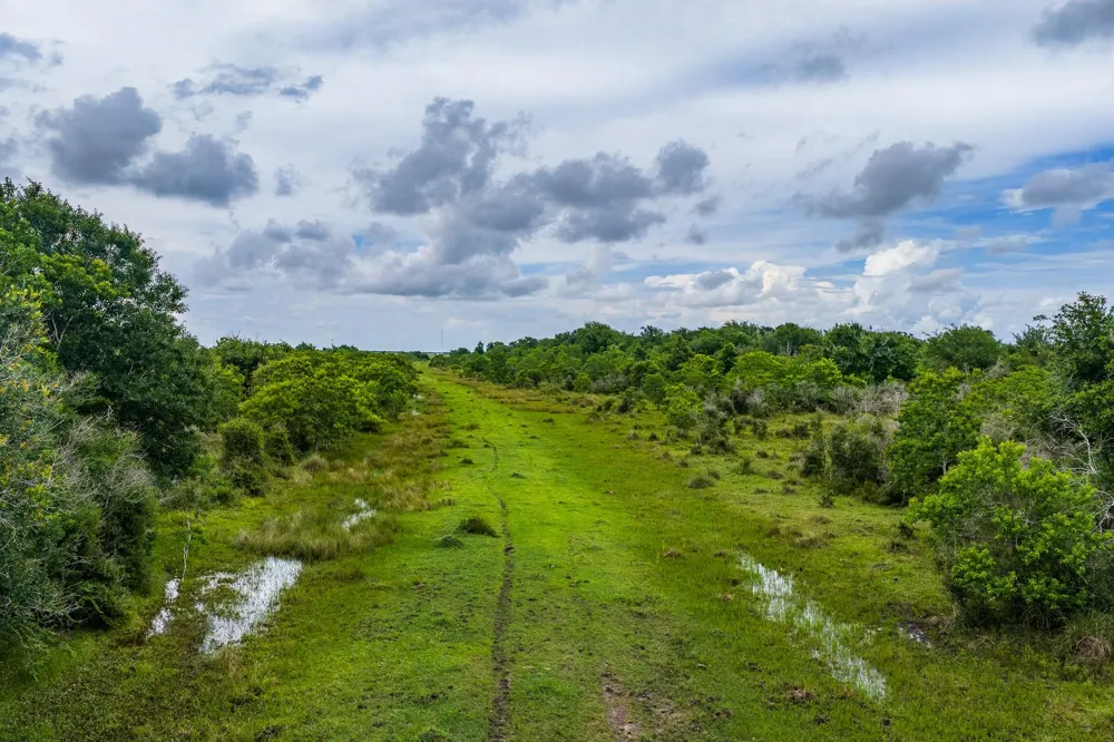 208 Cr 208 Danbury, TX 77534