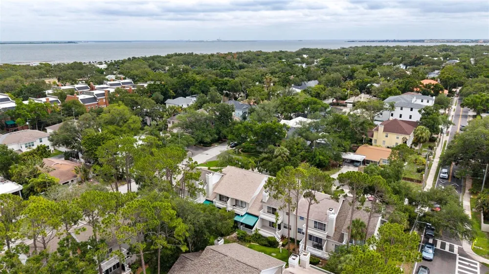 2605 W BALLAST POINT BOULEVARD Tampa, FL 33611