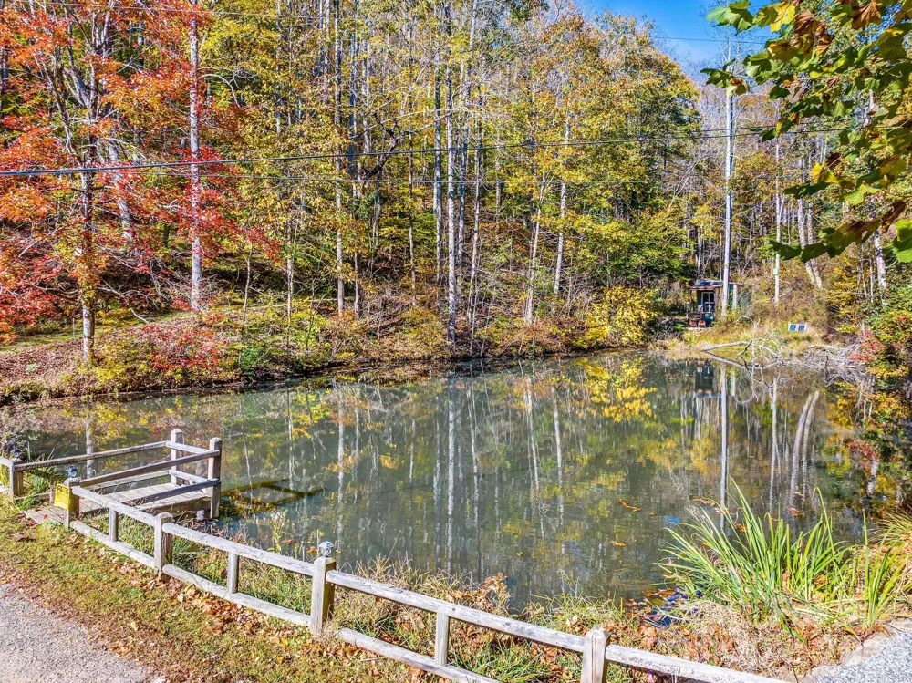 226 Fish Pond Lane Burnsville, NC 28714