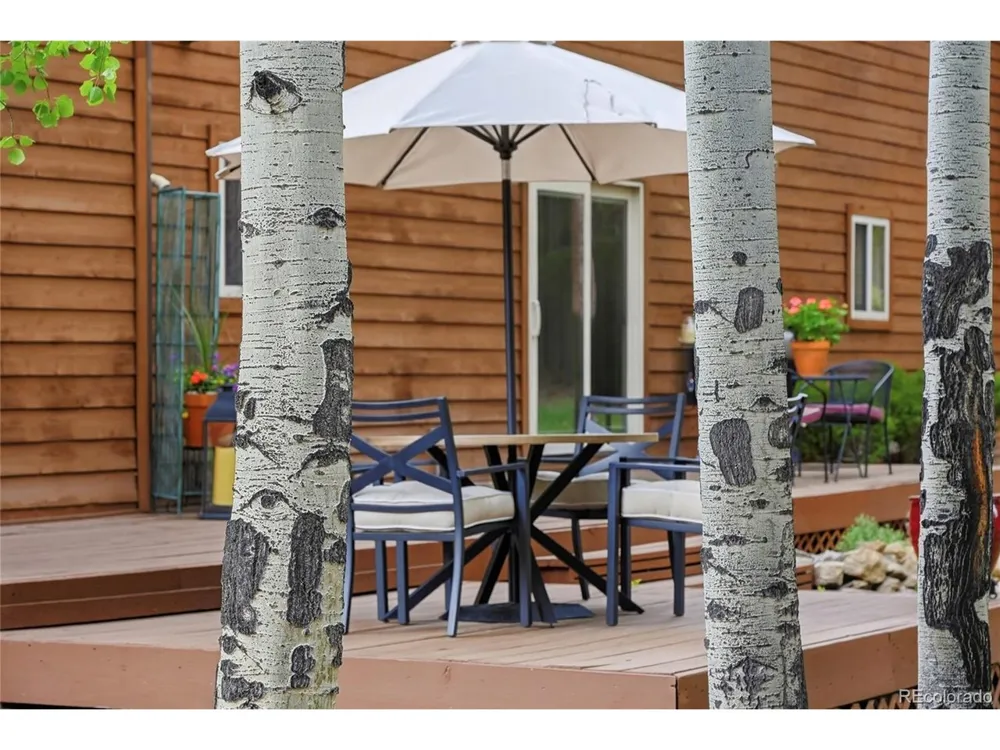 9128 Krashin Drive Conifer, CO 80433