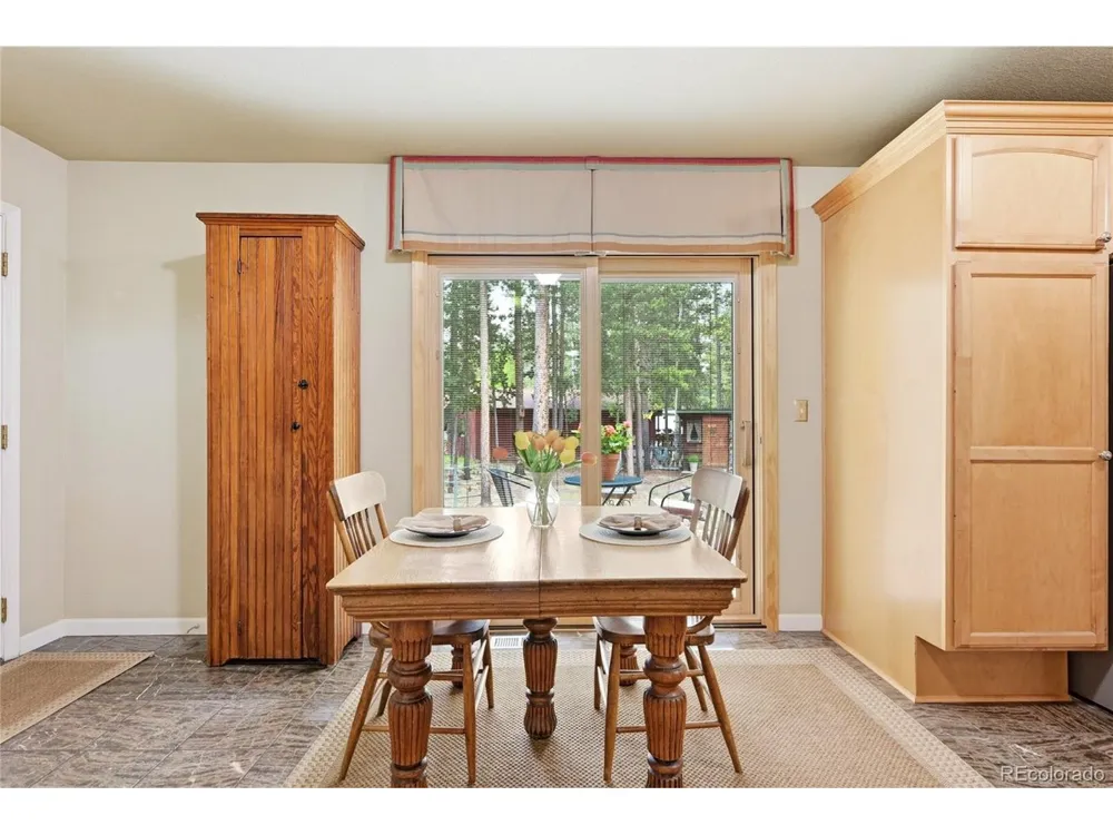 9128 Krashin Drive Conifer, CO 80433