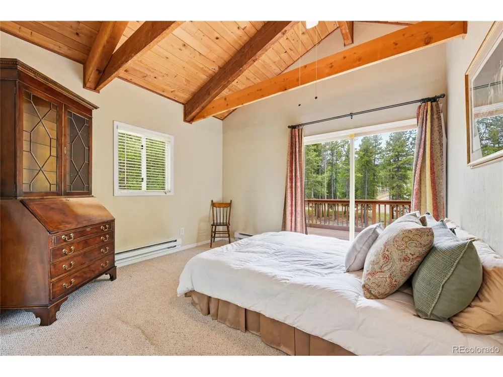 9128 Krashin Drive Conifer, CO 80433