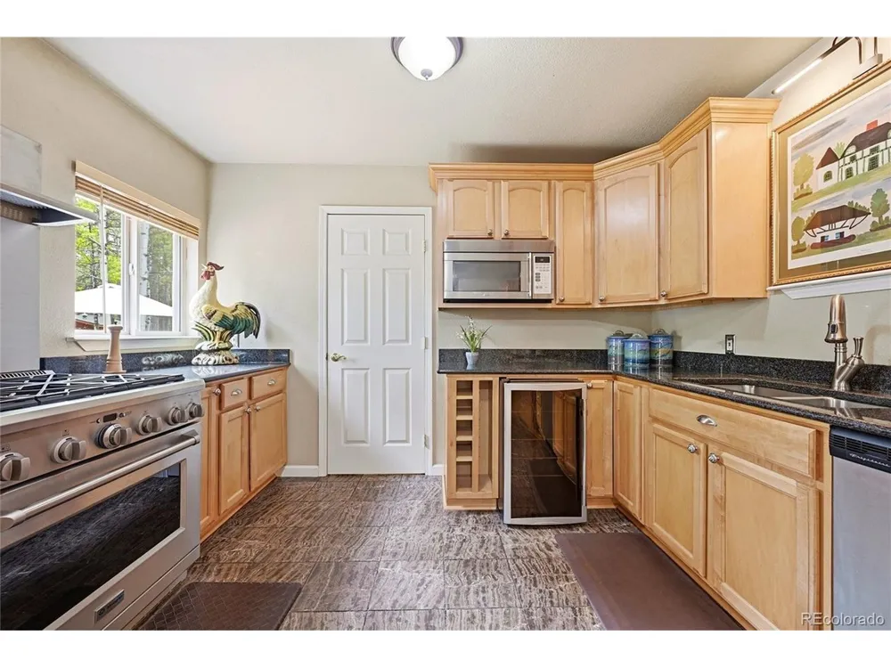 9128 Krashin Drive Conifer, CO 80433