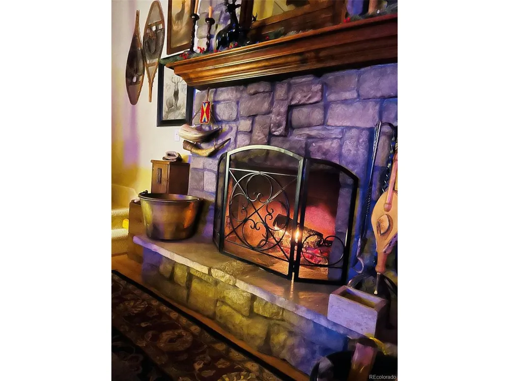 9128 Krashin Drive Conifer, CO 80433