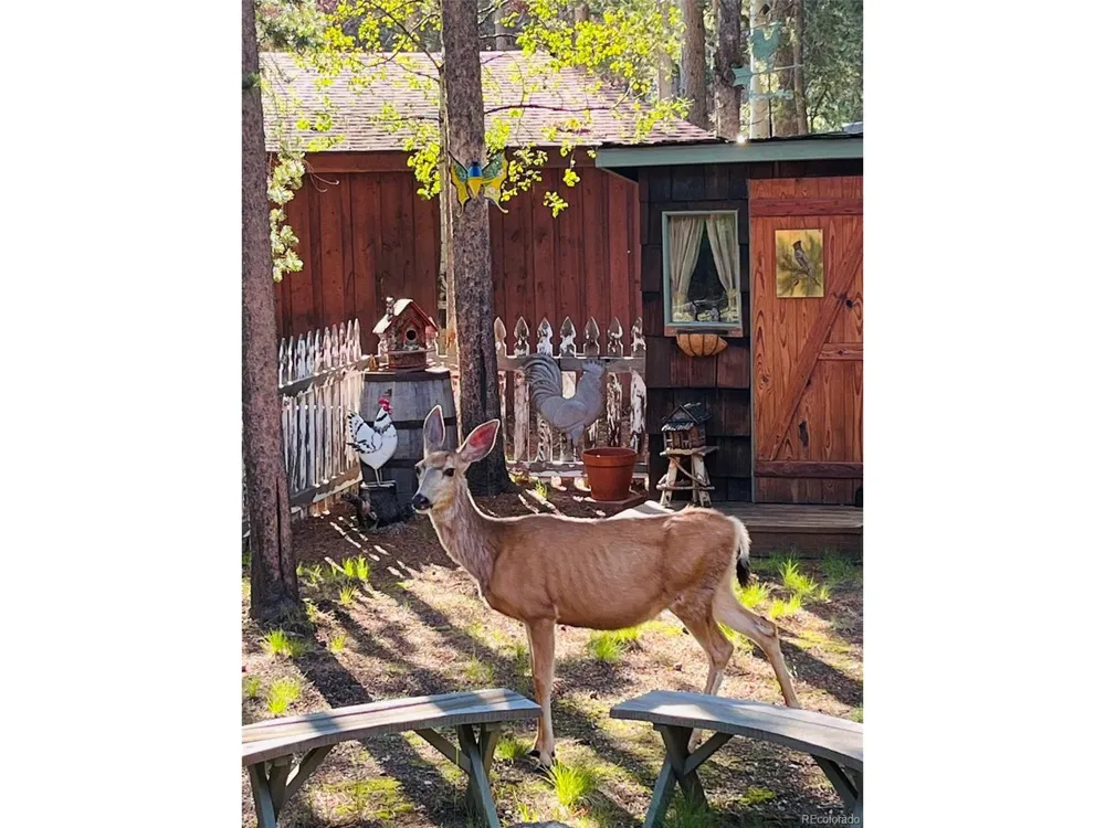 9128 Krashin Drive Conifer, CO 80433