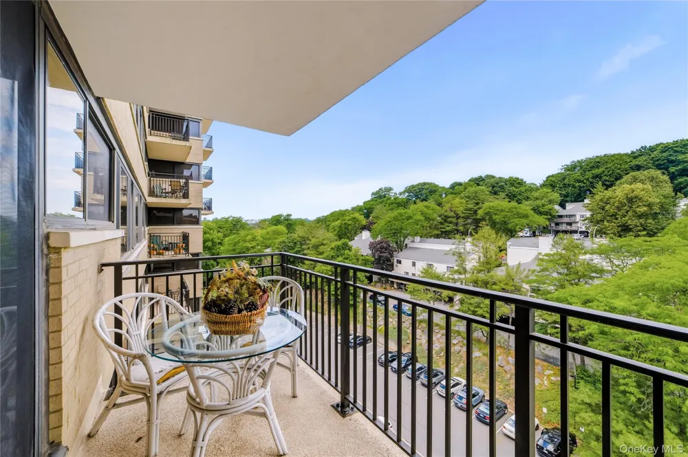 25 Rockledge Avenue #801 White Plains, NY 10601
