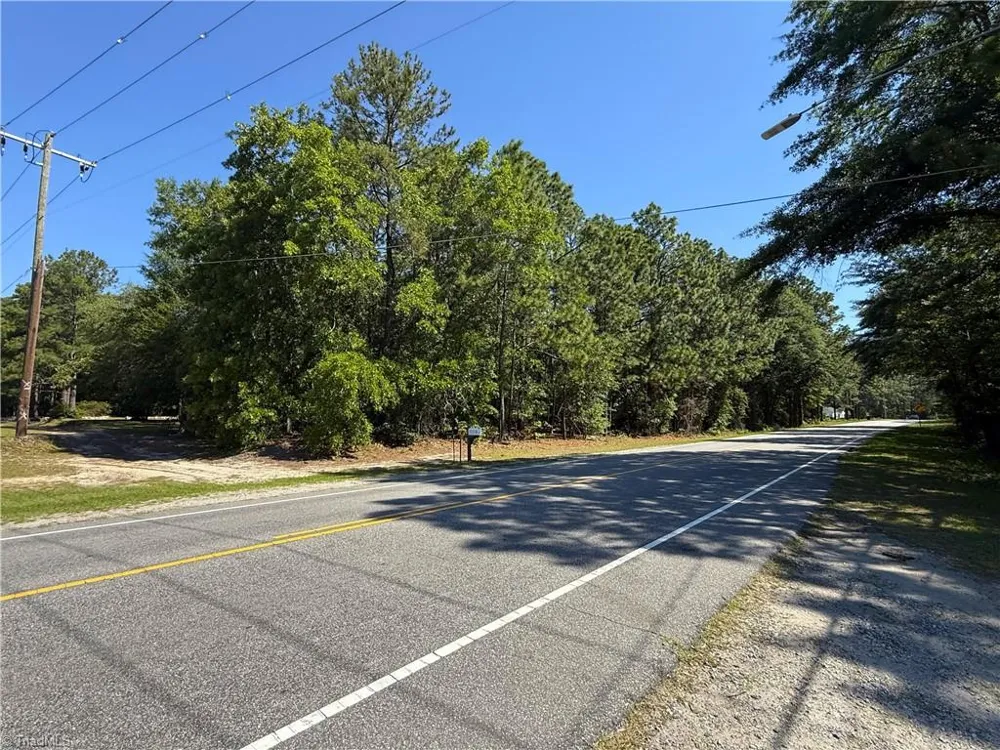 TBD Cheraw Road Hamlet, NC 28345