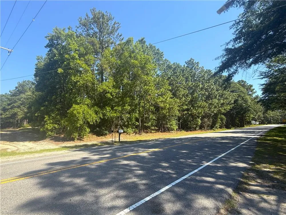 TBD Cheraw Road Hamlet, NC 28345