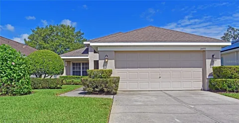 14499 TAMARIND LOOP