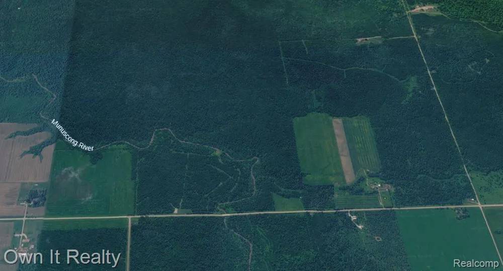 E Townline Road Pickford Township, MI 49774