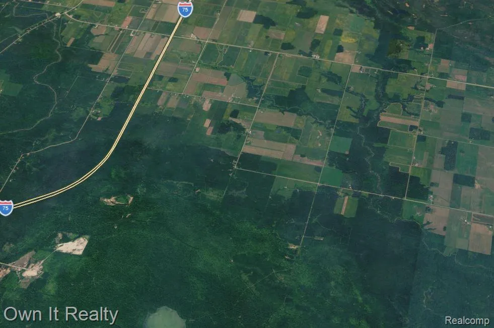 E Townline Road Pickford Township, MI 49774
