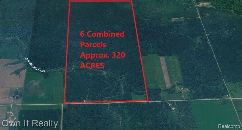 E Townline Road Pickford Township, MI 49774