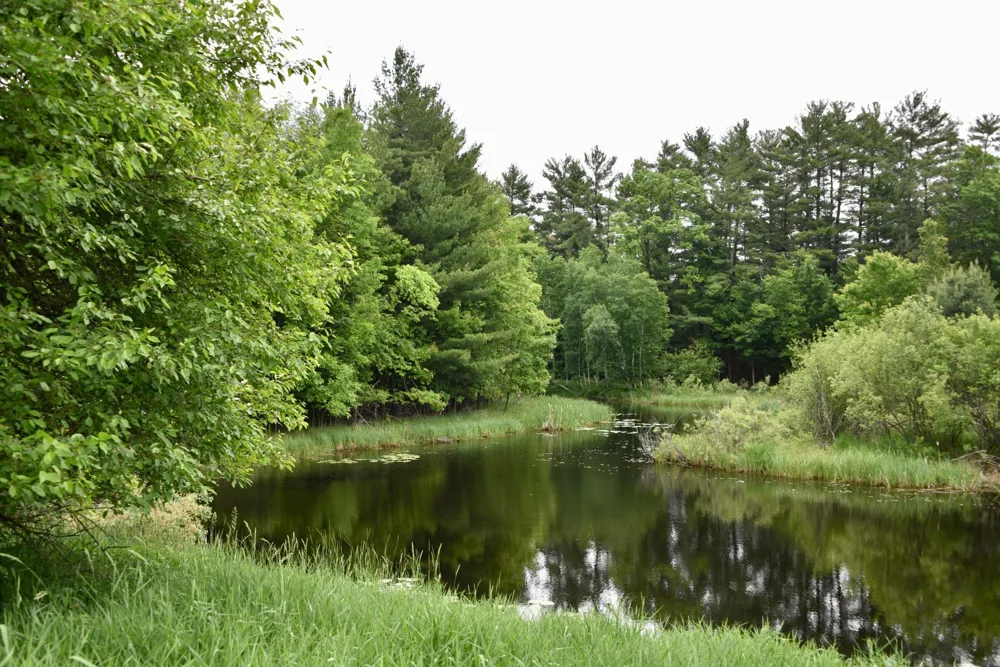 20692 Keystone Road Milaca, MN 56353