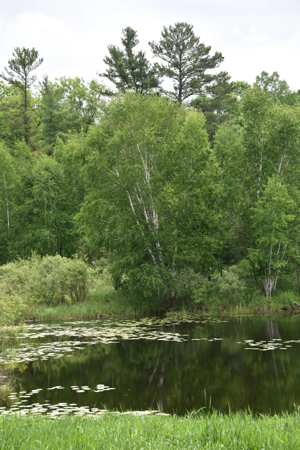 20692 Keystone Road Milaca, MN 56353