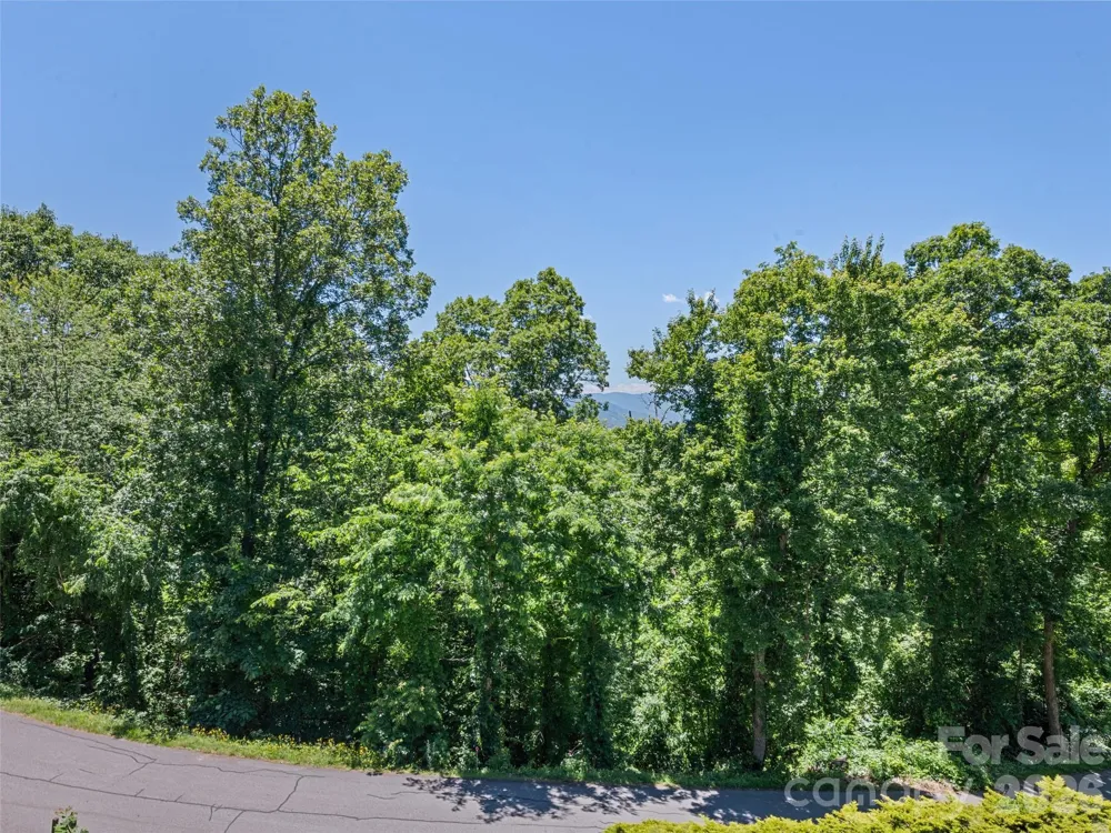 283 Blake Drive Canton, NC 28716