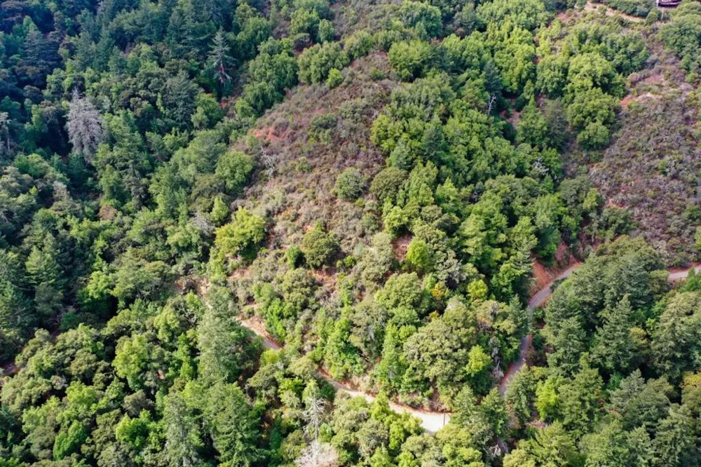 15910 Wildcat Ridge Saratoga, CA 95070