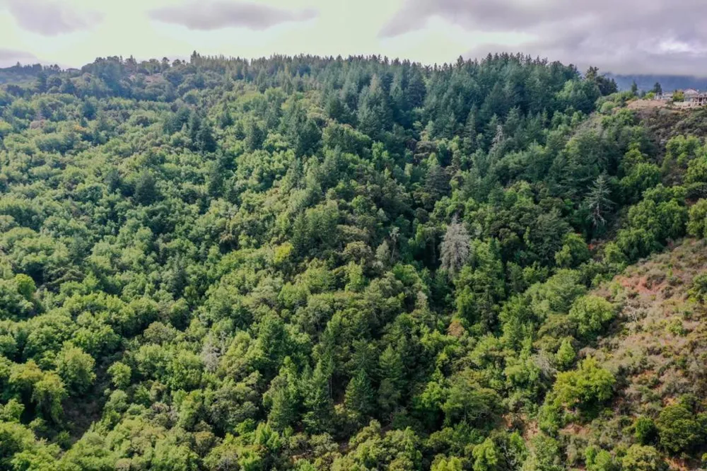 15910 Wildcat Ridge Saratoga, CA 95070