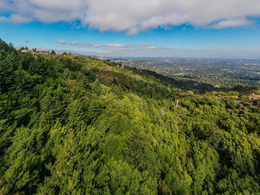 15910 Wildcat Ridge Saratoga, CA 95070