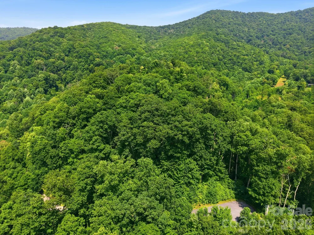 00 Triple Creek Drive #43 Clyde, NC 28721