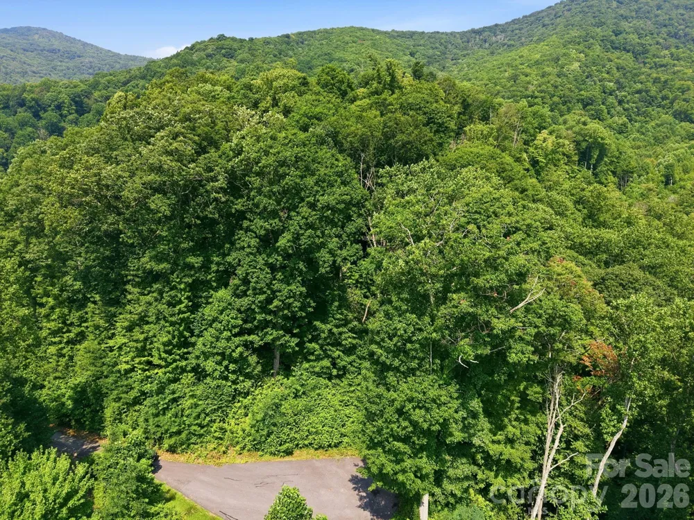 00 Triple Creek Drive #43 Clyde, NC 28721