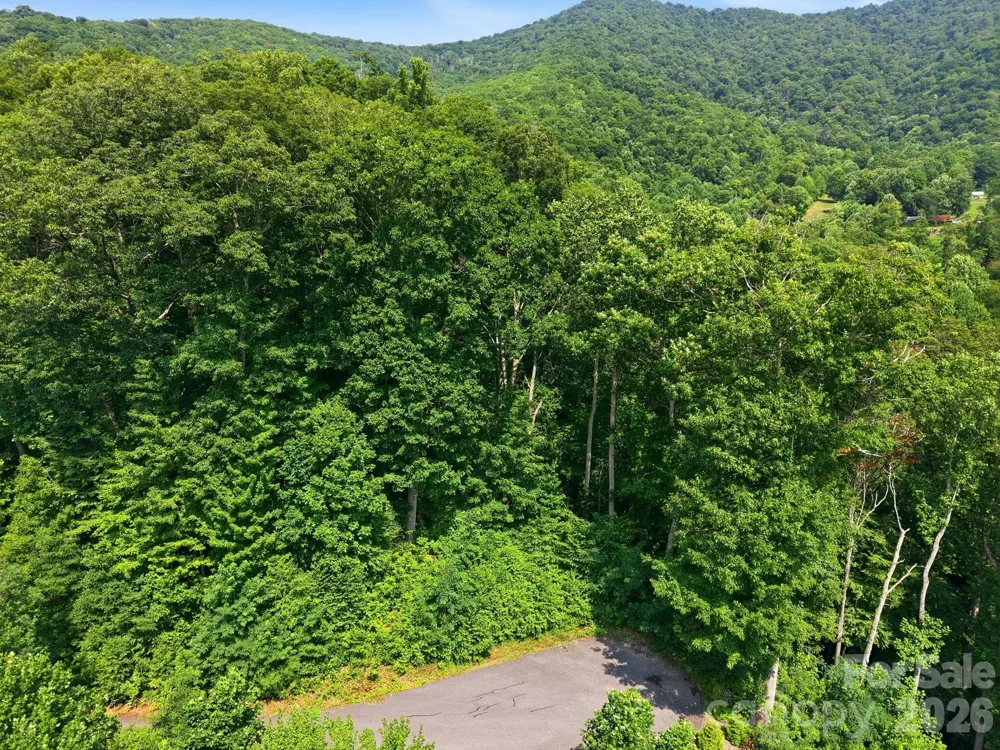 00 Triple Creek Drive #43 Clyde, NC 28721