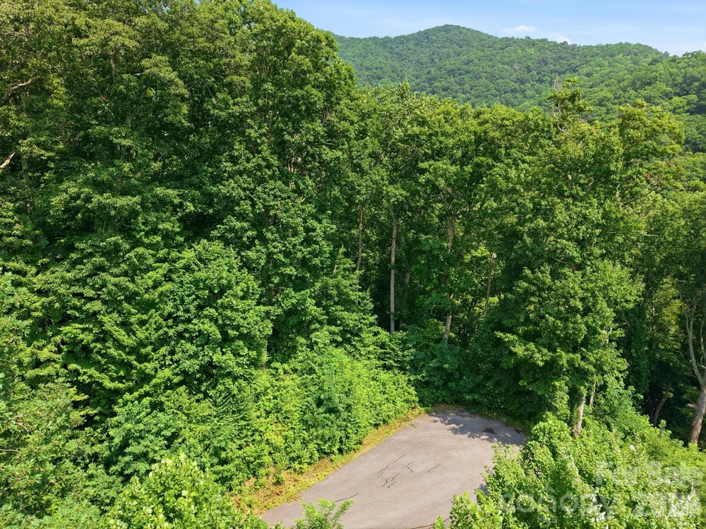 00 Triple Creek Drive #43 Clyde, NC 28721