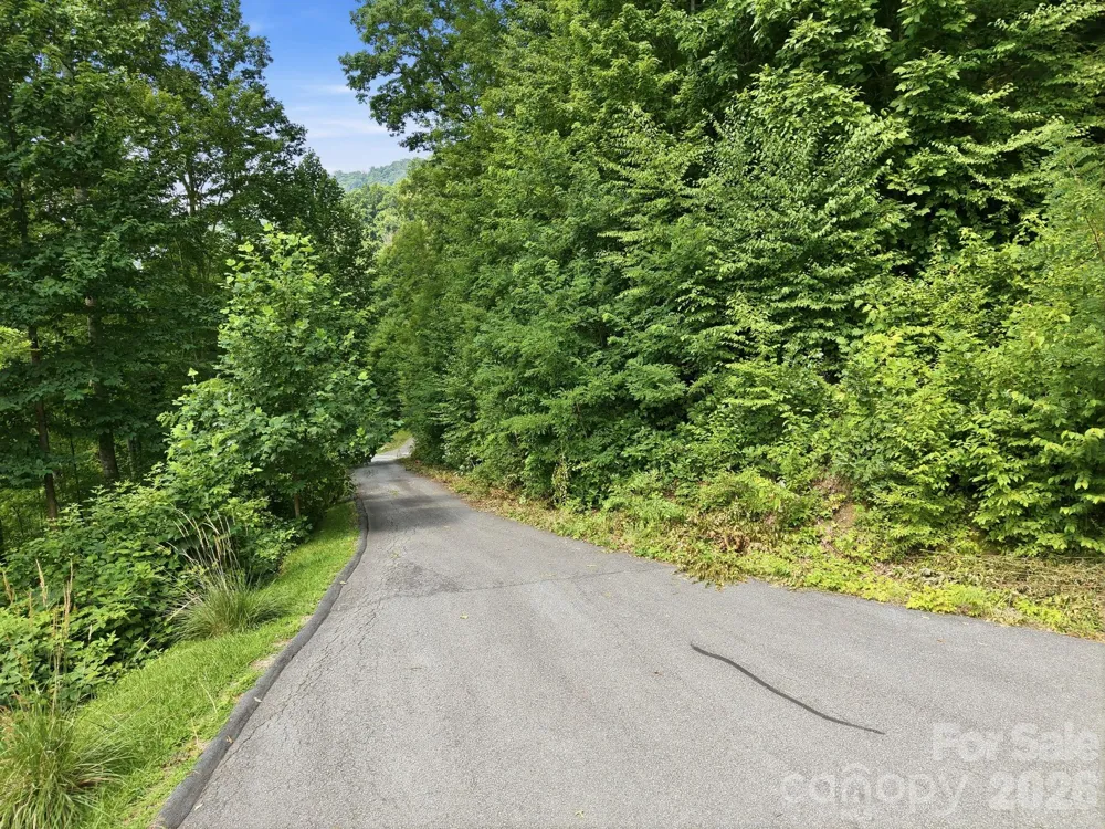 00 Triple Creek Drive #43 Clyde, NC 28721