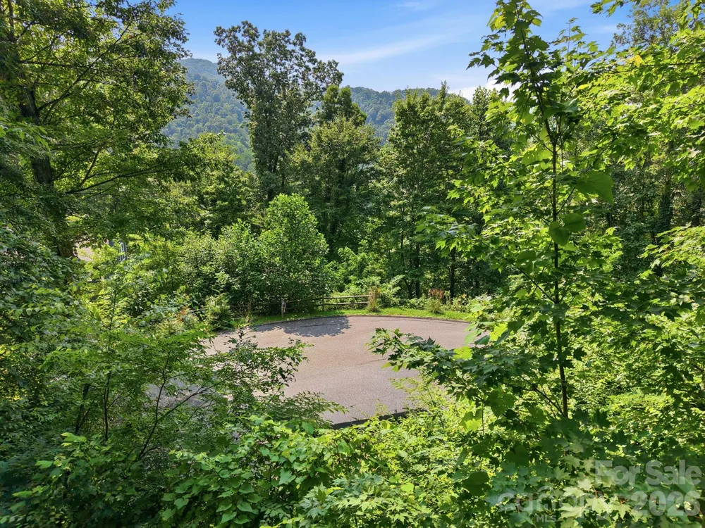 00 Triple Creek Drive #43 Clyde, NC 28721