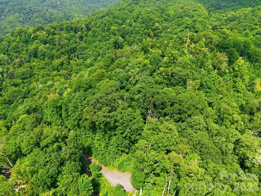 00 Triple Creek Drive #43 Clyde, NC 28721