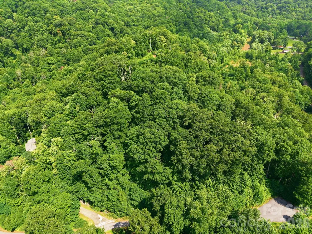 00 Triple Creek Drive #43 Clyde, NC 28721