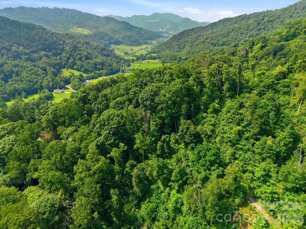 00 Triple Creek Drive #43 Clyde, NC 28721