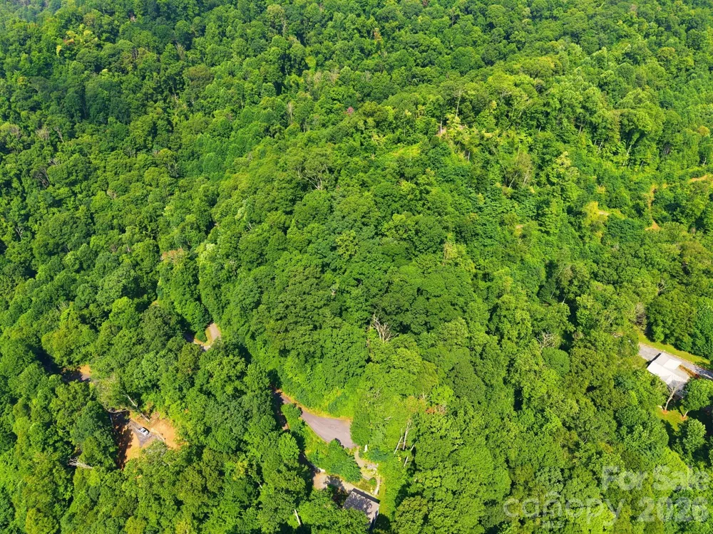 00 Triple Creek Drive #43 Clyde, NC 28721