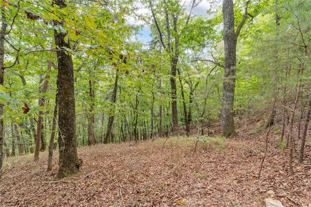 98 Sharp Mountain Parkway Jasper, GA 30143