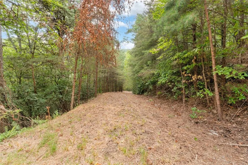 98 Sharp Mountain Parkway Jasper, GA 30143
