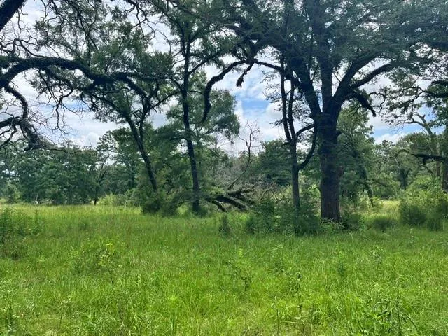 76 Pr 1286 Off Cr 114 Centerville, TX 75833