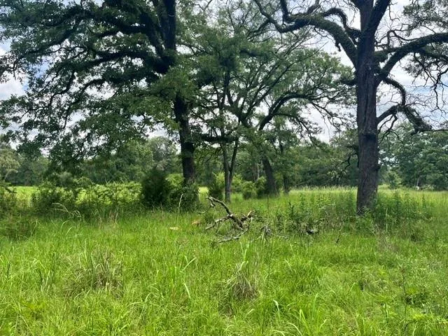 76 Pr 1286 Off Cr 114 Centerville, TX 75833
