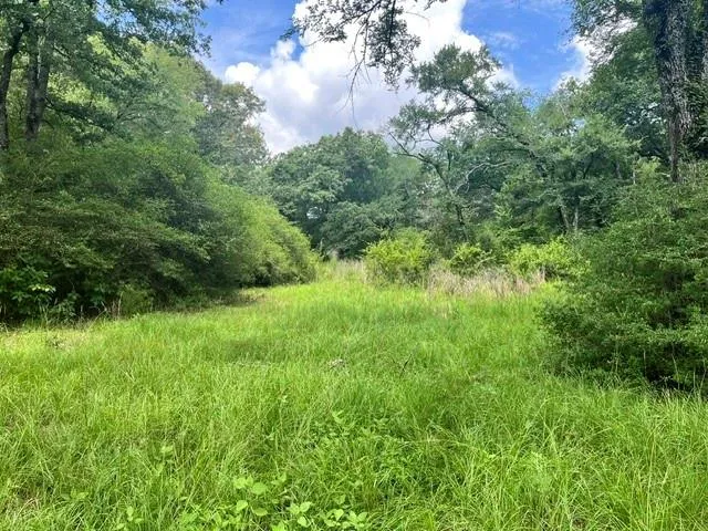 76 Pr 1286 Off Cr 114 Centerville, TX 75833
