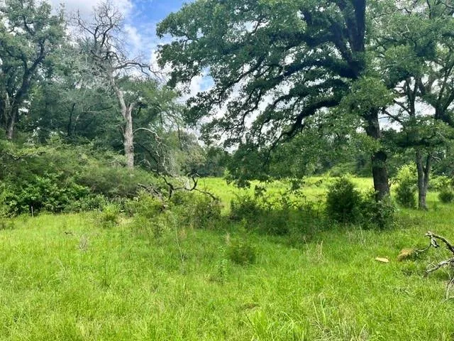76 Pr 1286 Off Cr 114 Centerville, TX 75833