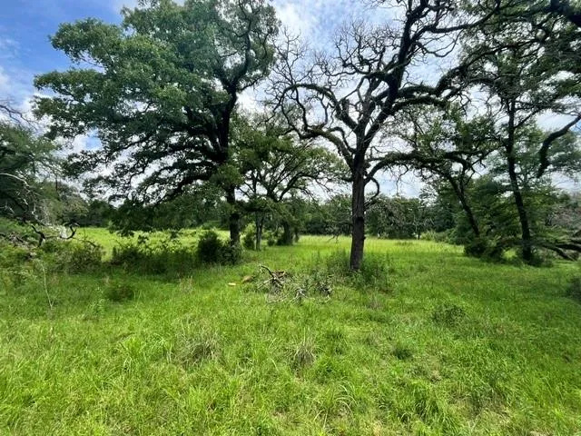 76 Pr 1286 Off Cr 114 Centerville, TX 75833