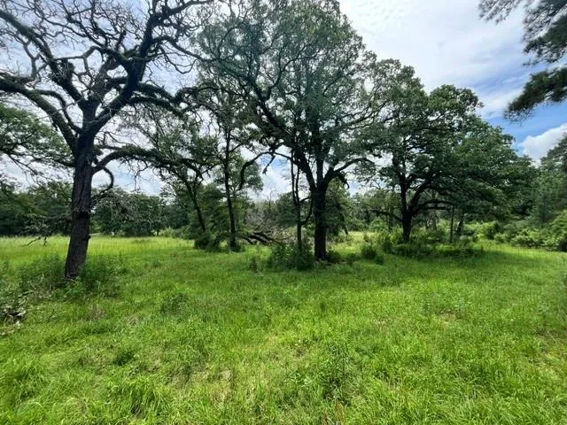 76 Pr 1286 Off Cr 114 Centerville, TX 75833