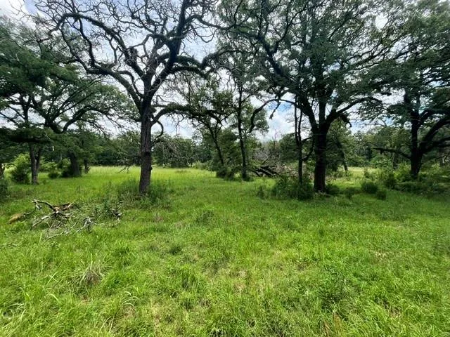 76 Pr 1286 Off Cr 114 Centerville, TX 75833