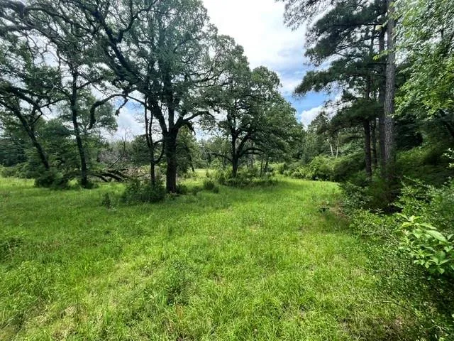 76 Pr 1286 Off Cr 114 Centerville, TX 75833