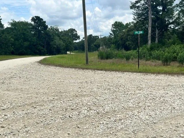 76 Pr 1286 Off Cr 114 Centerville, TX 75833