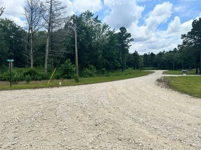 76 Pr 1286 Off Cr 114 Centerville, TX 75833
